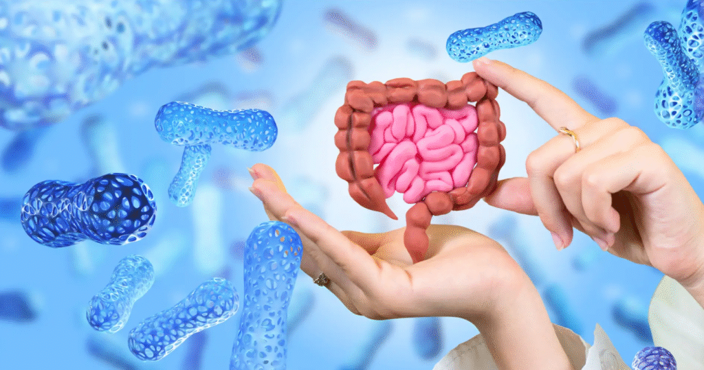 prebióticos y probióticos